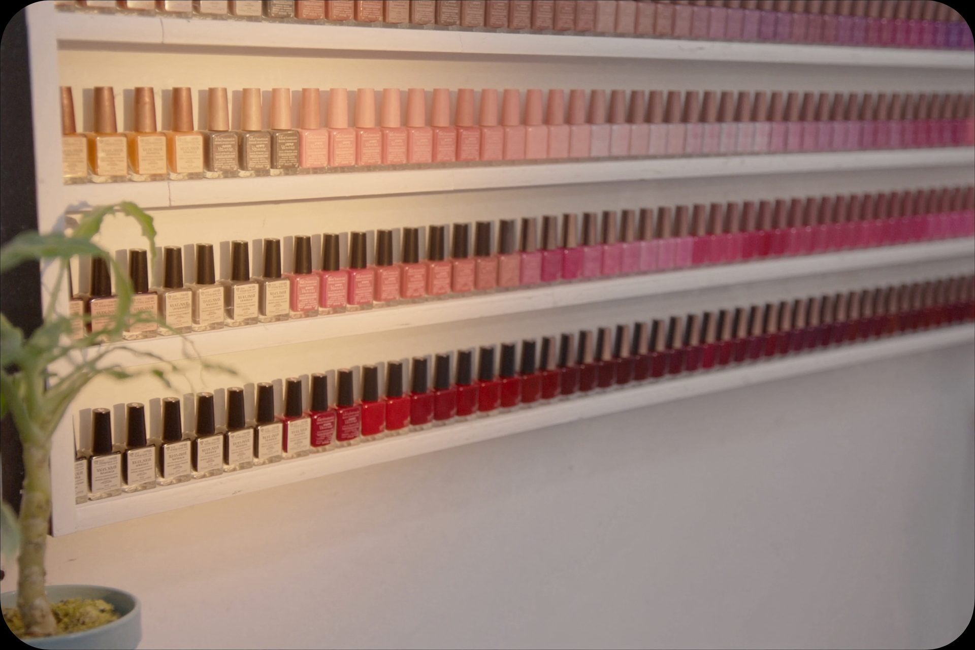 A wall rack of nail polish bottles in a small salon, arranged as a gradient from nude through pink to deep red, lit by warm afternoon light from the left.